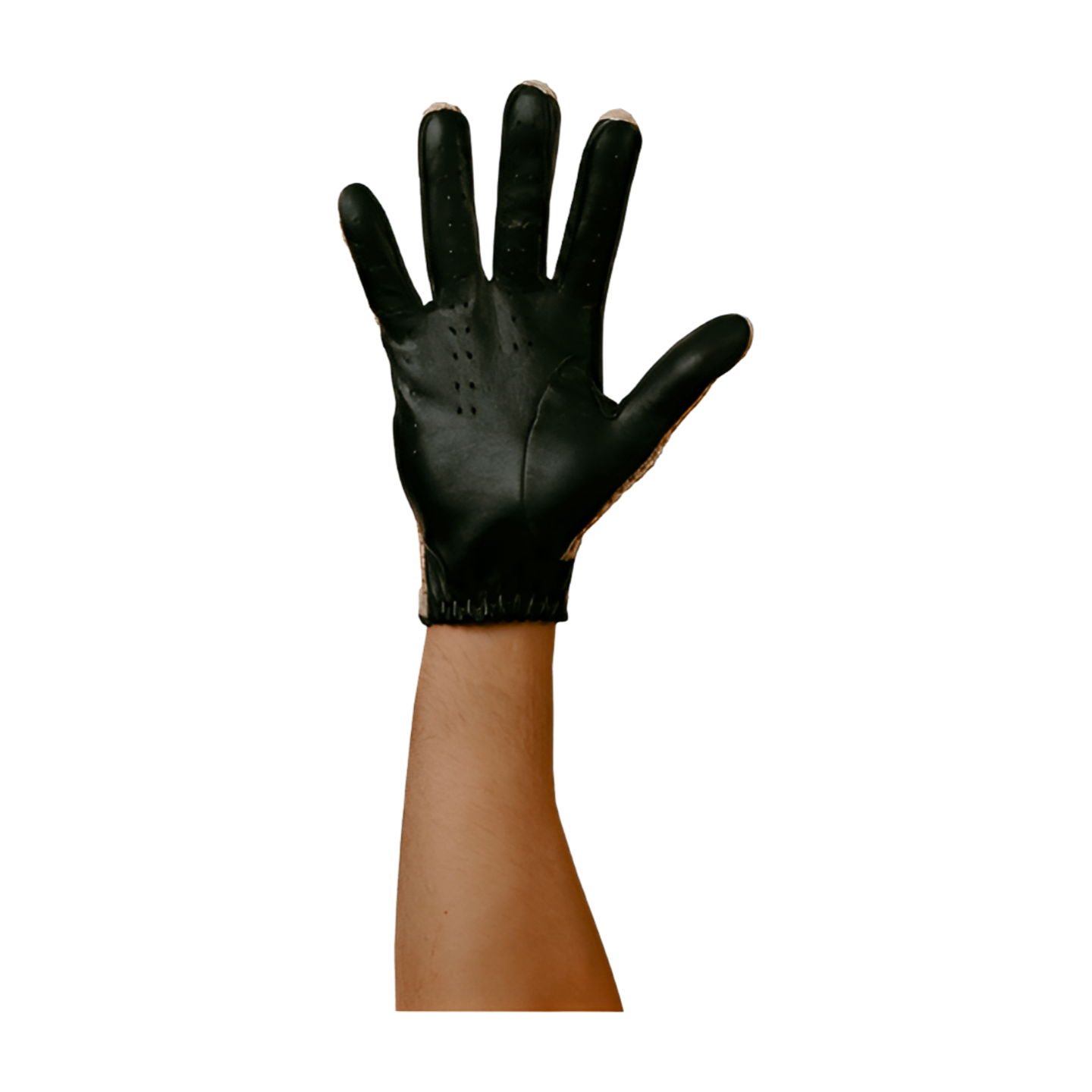 Maglia Driving Gloves - Italian Premium Nappa Lambskin