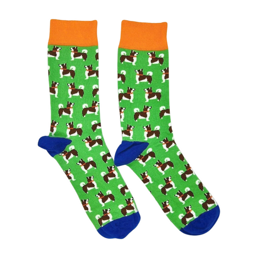 Norwich Terrier Dog Design Socks