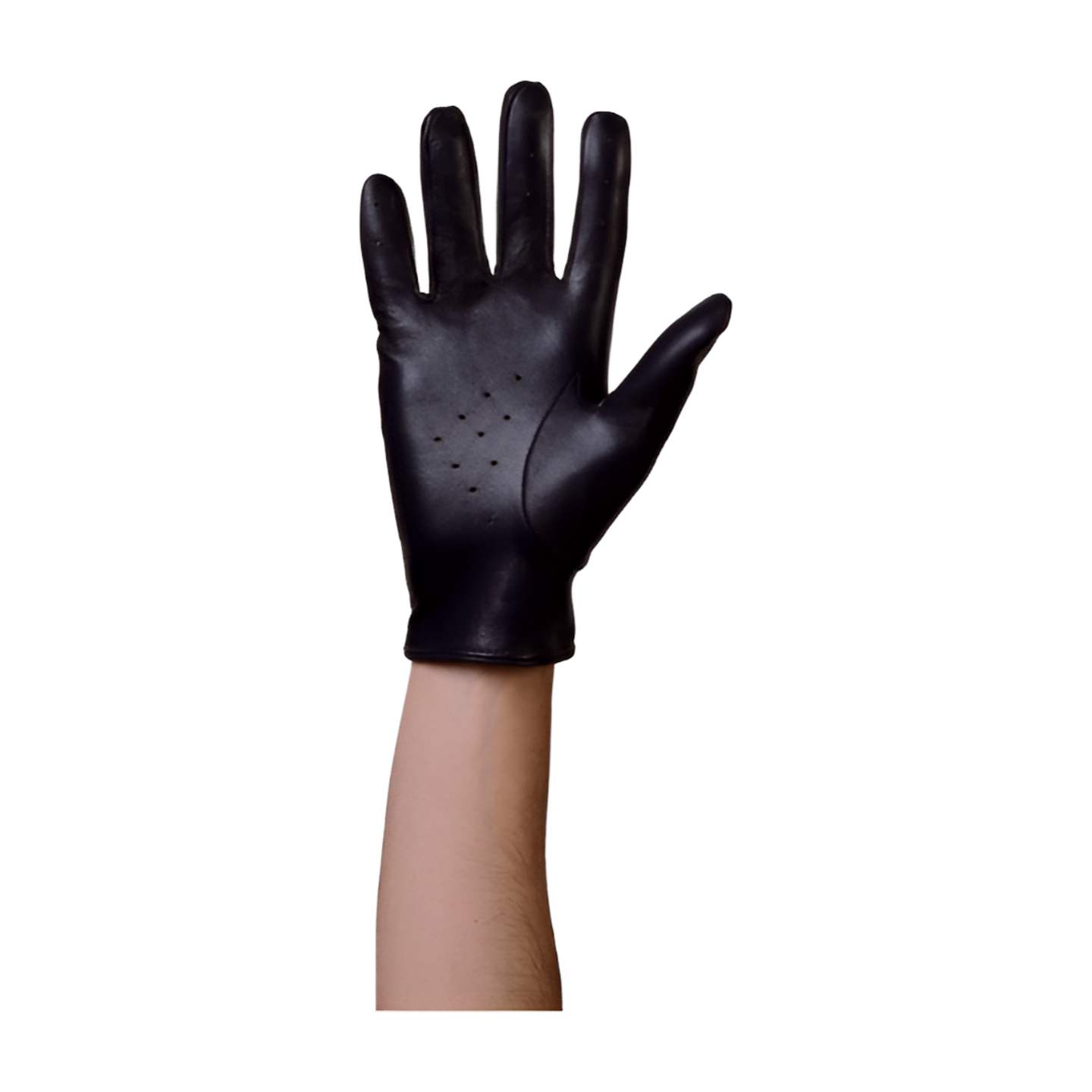 Roadster Leather Driving Gloves - Italian Premium Nappa Lambskin